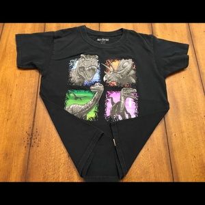 Boy’s Dinosaur Short Sleeve Tee Shirt